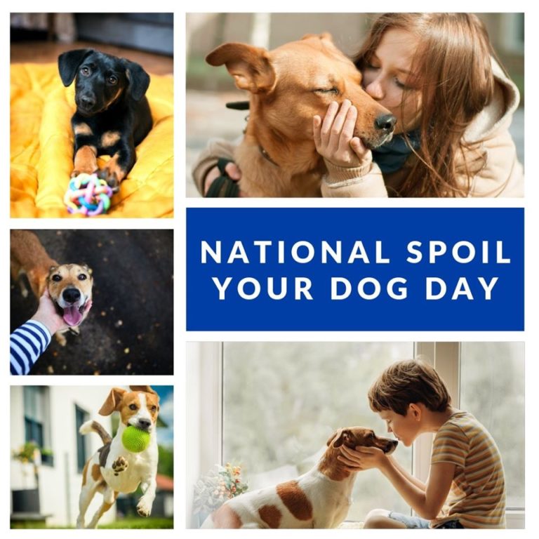 When is National Spoil Your Dog Day? At Occano, the Sound is a gift